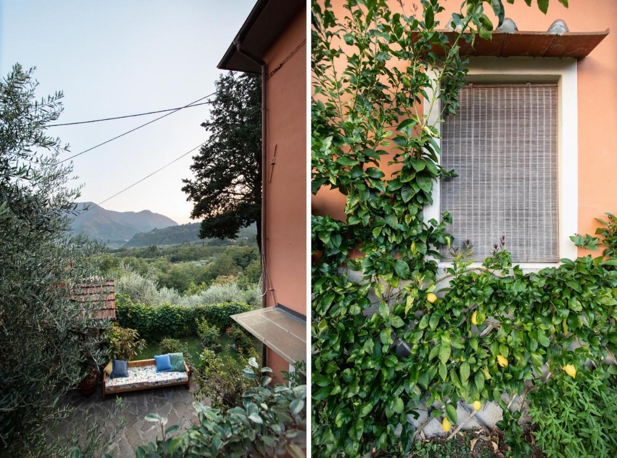 Casetta Di Butia, Glicine Apartment Borgo a Mozzano Extérieur photo